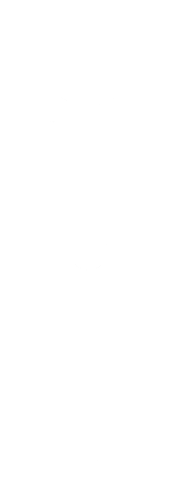 404